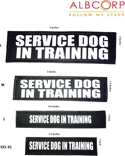 Reflective Service Dog in Training Patches with Hook Backing for Service Animal Vests /Harnesses Large (6 X 2) Inch