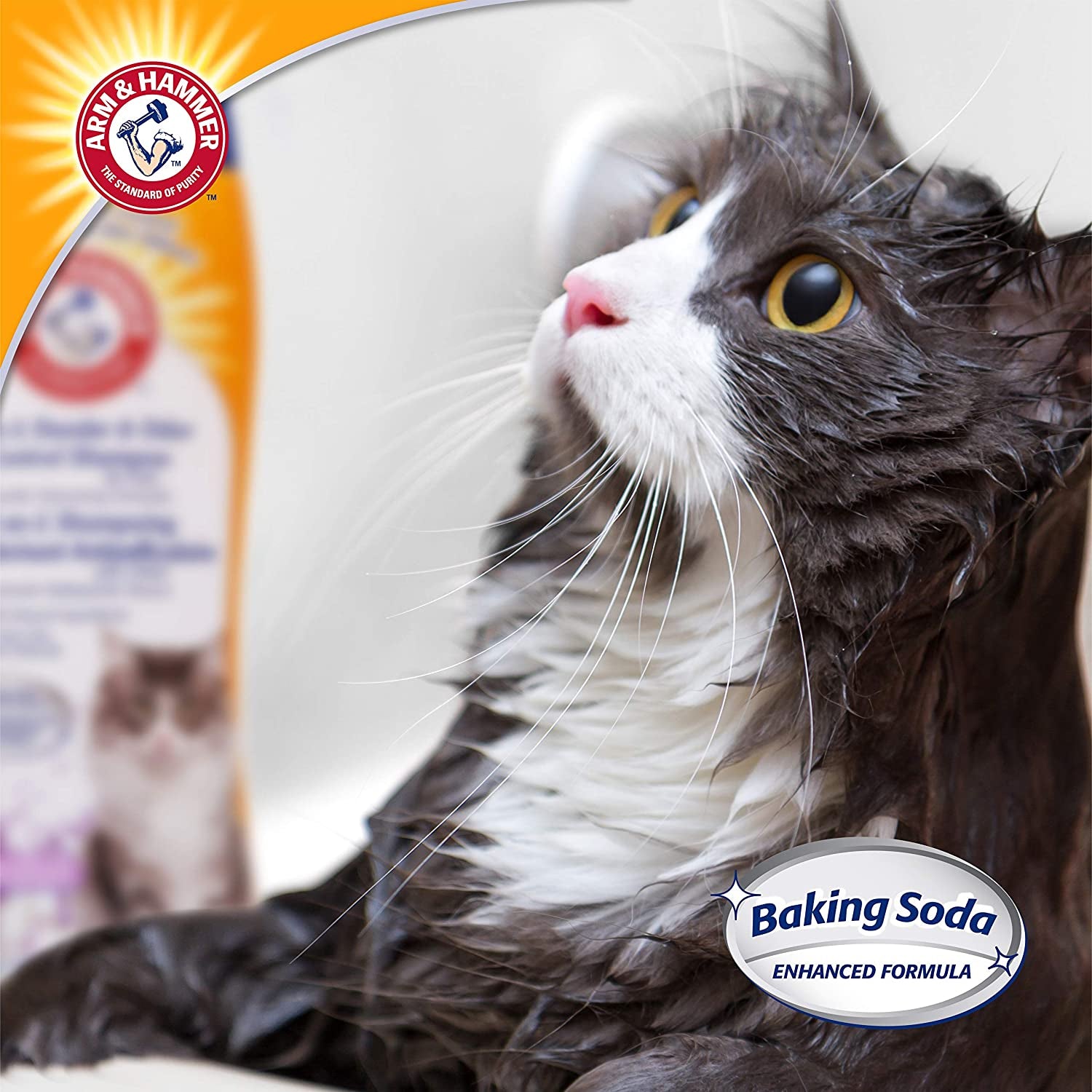 2-In-1 Deodorizing & Dander Reducing Shampoo for Catscat Dander Remover for Cat Dander and Cat Odorsbaking Soda Moisturizes and Deodorizes, Lavender Chamomile Scent 20 Fl Oz`